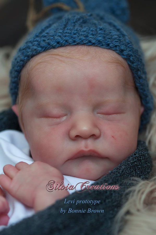levi by bonnie brown