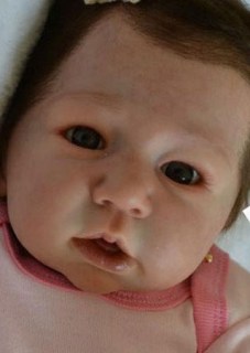 aloenka reborn doll kit